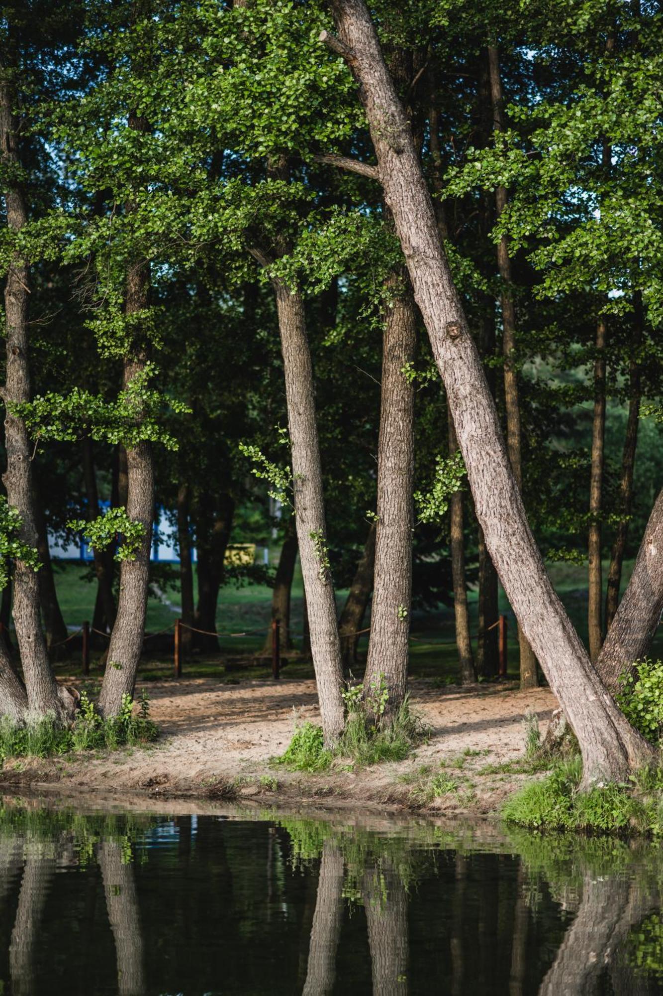 Zacisze,Pl Domki Premium I Bungalowy Deluxe Nad Jeziorem Lagowskim Extérieur photo